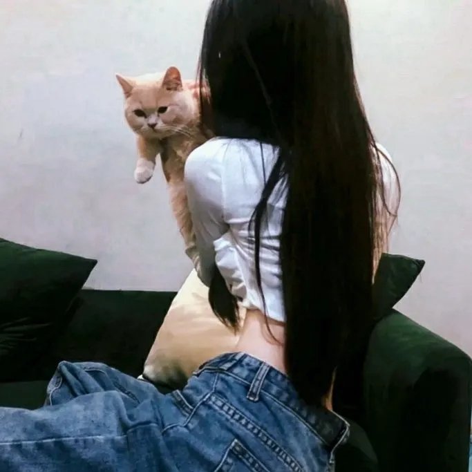 滚入红尘